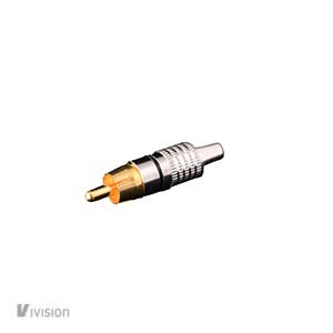 b10 ivision