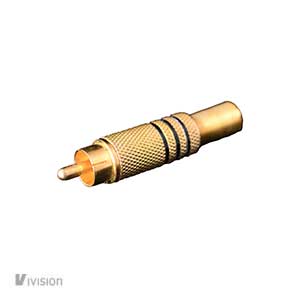b11 ivision